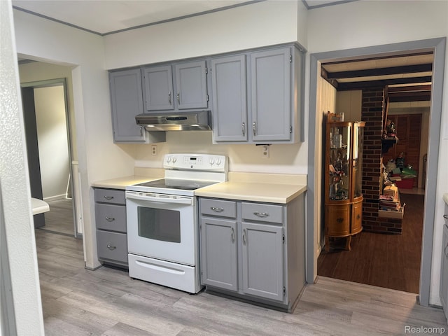 25830 Matilda Ave, Trenton, MI 48134 - kitchen with white range with electric stovetop, under cabinet range hood, gray cabinets, and light wood-style floors
