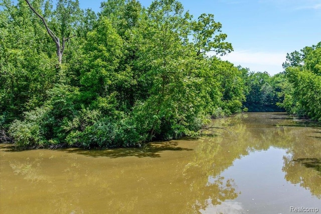14165 Crampton Rd, Camden, MI 49232 - water view with a forest