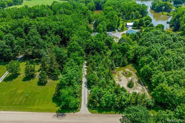 14165 Crampton Rd, Camden, MI 49232 - view of property location with a nearby body of water