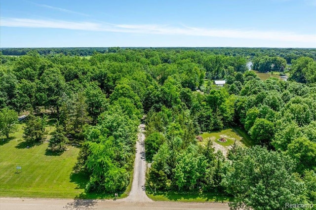 14165 Crampton Rd, Camden, MI 49232 - drone / aerial view of a forest