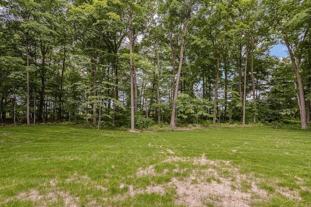 9841 Beech Tree Ln, Frankenmuth, MI 48734 - view of grassy yard