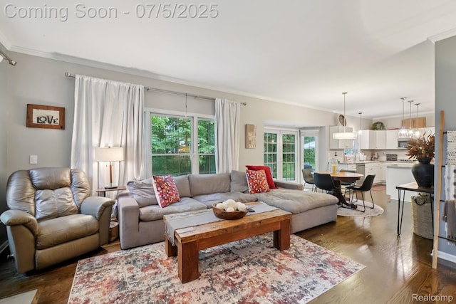678 Twin Oaks Ct, Rochester Hills, MI 48307 - living area with crown molding and dark wood finished floors