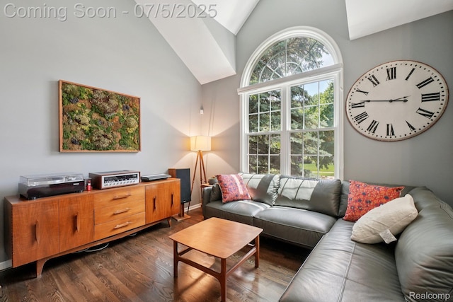 678 Twin Oaks Ct, Rochester Hills, MI 48307 - living room with high vaulted ceiling and dark wood-style flooring