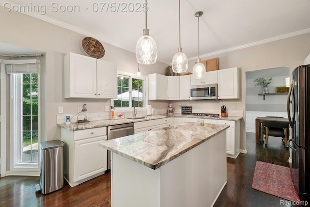 678 Twin Oaks Ct, Rochester Hills, MI 48307 - kitchen featuring stainless steel appliances, crown molding, plenty of natural light, white cabinets, and dark wood-type flooring
