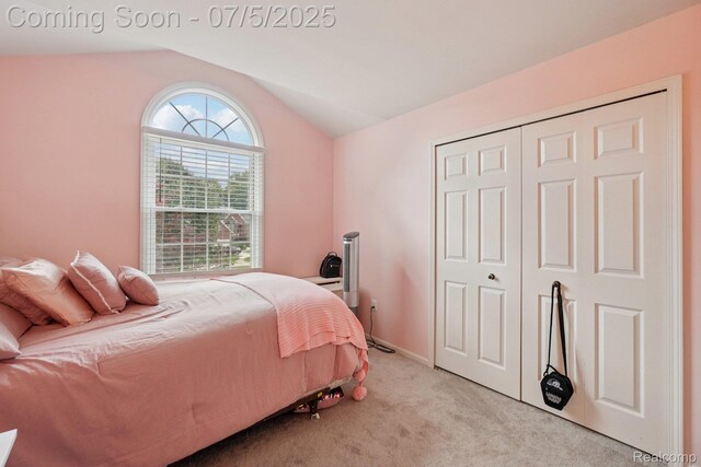 678 Twin Oaks Ct, Rochester Hills, MI 48307 - bedroom with lofted ceiling, light carpet, and a closet
