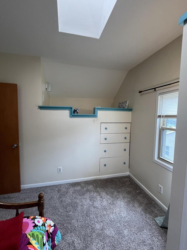 3925 Miramar Ave NE, Grand Rapids, MI 49525 - unfurnished bedroom with carpet floors, vaulted ceiling, and a skylight