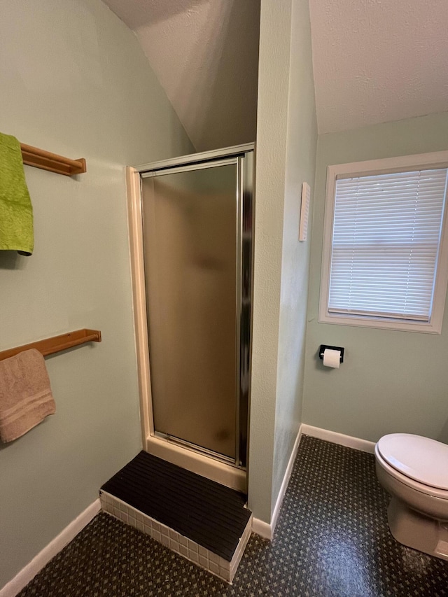 3925 Miramar Ave NE, Grand Rapids, MI 49525 - bathroom featuring vaulted ceiling and a shower stall