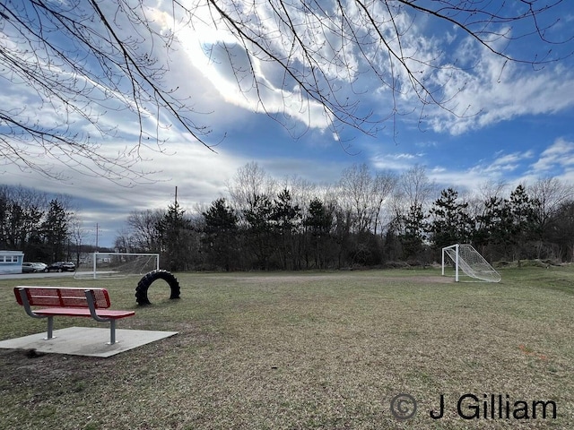 333 E Lakewood Blvd Unit 315, Holland, MI 49424 - view of yard featuring an area for sports and view of scattered trees