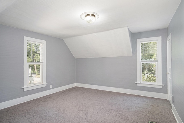 816 Oakhill St SE, Grand Rapids, MI 49507 - bonus room with carpet flooring and lofted ceiling