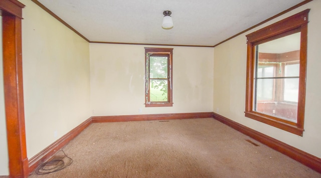1085 E Chicago Rd Unit A, Quincy, MI 49082 - unfurnished room with crown molding and carpet floors
