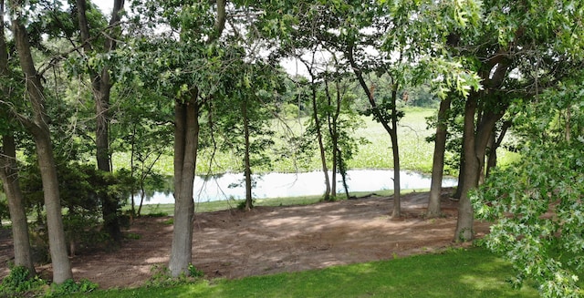 17756 Brad Ln, Three Rivers, MI 49093 - photo 23