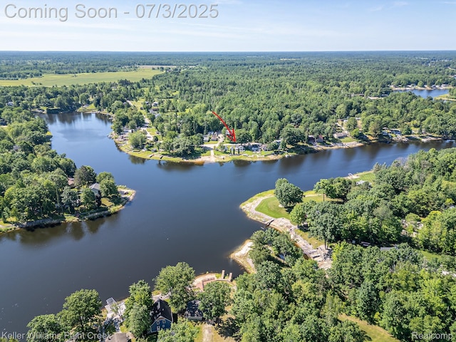 1379 Sioux St, Gladwin, MI 48624 - drone / aerial view of a forest and a nearby body of water
