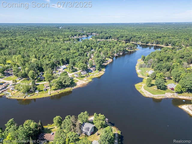 1379 Sioux St, Gladwin, MI 48624 - aerial view of property and surrounding area with a large body of water