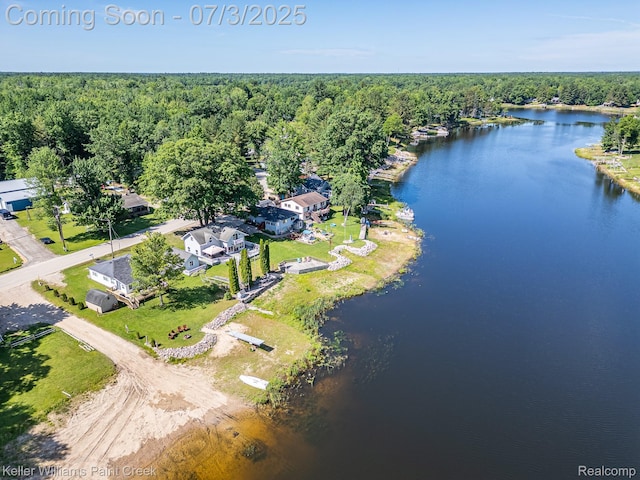 1379 Sioux St, Gladwin, MI 48624 - aerial view of property's location featuring a forest and a nearby body of water