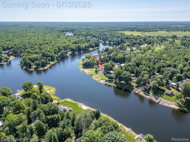 1379 Sioux St, Gladwin, MI 48624 - bird's eye view of a heavily wooded area and a nearby body of water