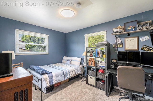 2029 N Long Lake Rd, Fenton, MI 48430 - photo 19