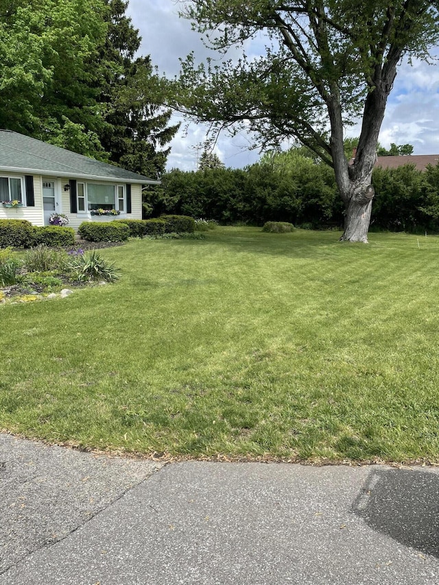 8441 Homerich Ave, Byron Center, MI 49315 - view of green lawn