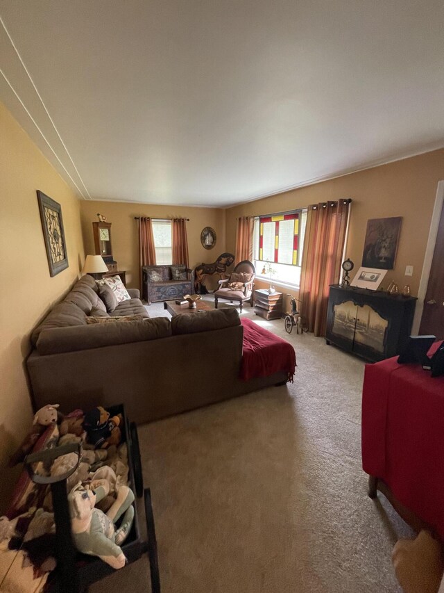 8441 Homerich Ave, Byron Center, MI 49315 - view of carpeted living room
