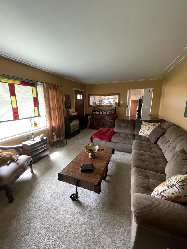 8441 Homerich Ave, Byron Center, MI 49315 - living room with carpet and plenty of natural light