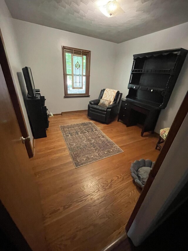 8441 Homerich Ave, Byron Center, MI 49315 - living area with wood finished floors
