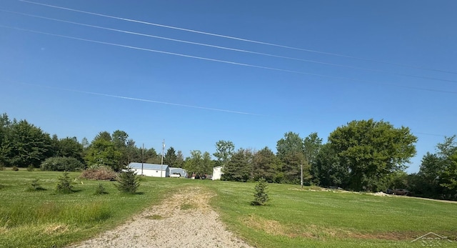 14382 S Chapin Rd, Elsie, MI 48831