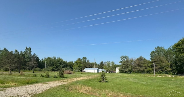 14382 S Chapin Rd, Elsie, MI 48831