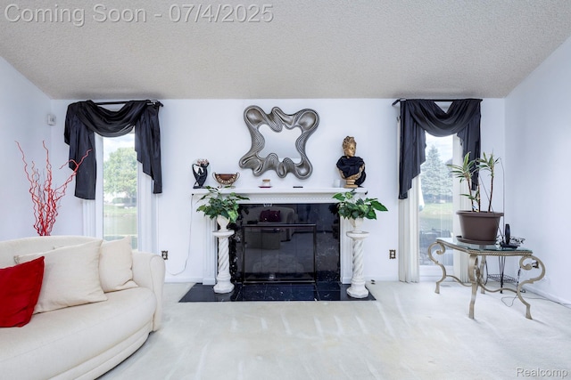 52448 Cedar Mill Dr, Macomb, MI 48042 - living room featuring carpet flooring, a textured ceiling, and a fireplace with flush hearth