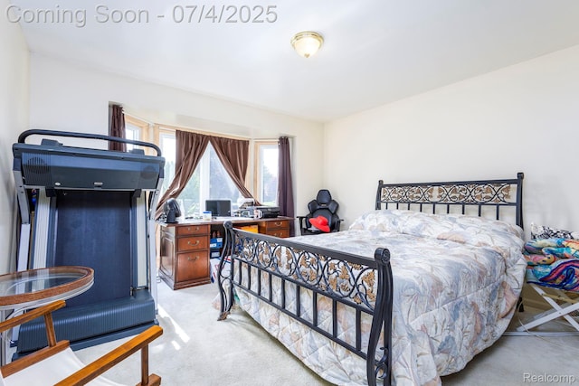52448 Cedar Mill Dr, Macomb, MI 48042 - bedroom with light colored carpet