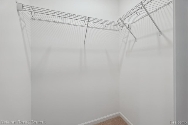50284 Hedgewood Dr, Canton, MI 48187 - photo 55