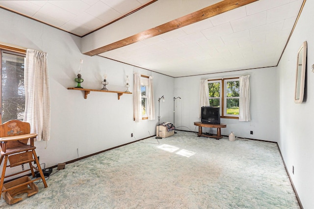 4293 N Schoenherr Rd, Fountain, MI 49410 - carpeted living room with plenty of natural light