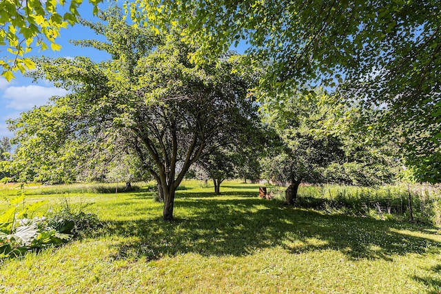 4293 N Schoenherr Rd, Fountain, MI 49410 - view of green lawn