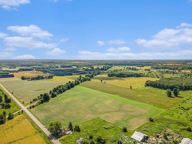 4293 N Schoenherr Rd, Fountain, MI 49410 - aerial view of sparsely populated area with rows of crops and a pastoral area