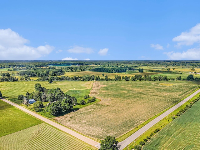 4293 N Schoenherr Rd, Fountain, MI 49410 - aerial view of sparsely populated area