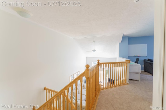 10452 Fawn Ridge Trl, Hartland, MI 48353 - photo 21