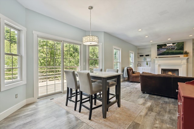 7987 36th St SE, Ada, MI 49301 - dining space with plenty of natural light, a lit fireplace, light wood finished floors, recessed lighting, and built in shelves