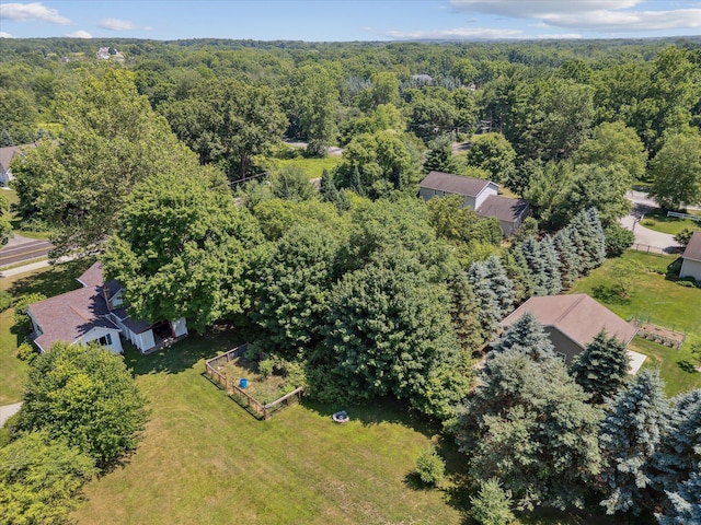 7987 36th St SE, Ada, MI 49301 - drone / aerial view of a forest