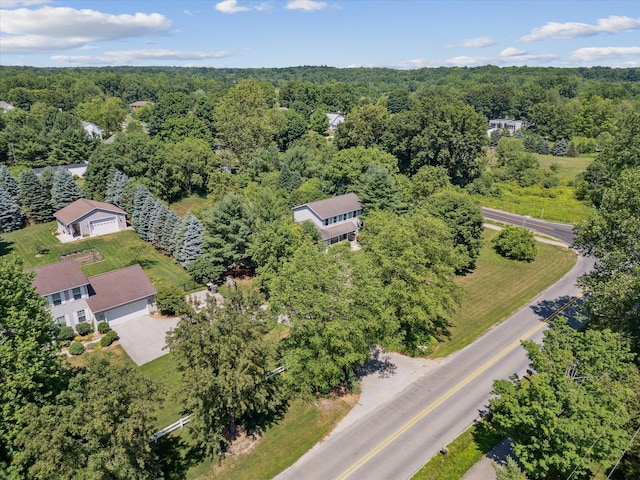 7987 36th St SE, Ada, MI 49301 - bird's eye view of a heavily wooded area