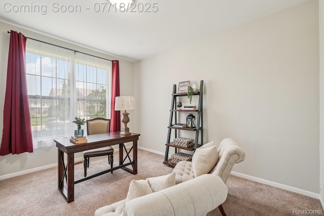 50519 Rockingham Dr, Canton, MI 48188 - photo 14