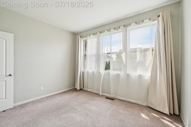 50519 Rockingham Dr, Canton, MI 48188 - photo 20