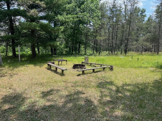 4231 W 5 Mile Rd, Irons, MI 49644 - surrounding community with an outdoor fire pit