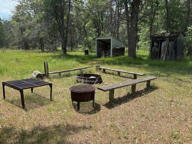4231 W 5 Mile Rd, Irons, MI 49644 - view of yard with a storage shed