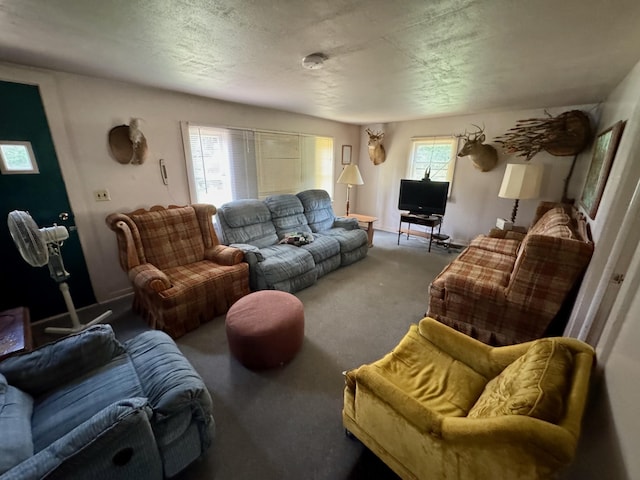 4231 W 5 Mile Rd, Irons, MI 49644 - living room featuring carpet floors