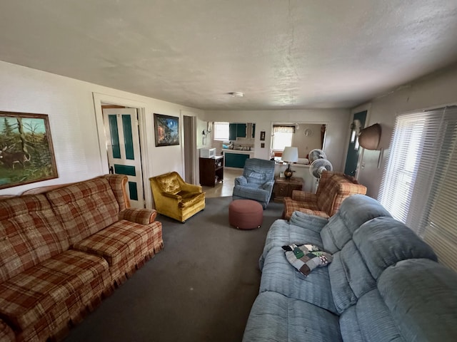 4231 W 5 Mile Rd, Irons, MI 49644 - view of carpeted living room