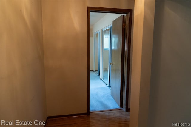 25640 Grand Concourse St, Southfield, MI 48075 - hallway featuring wood finished floors and baseboards