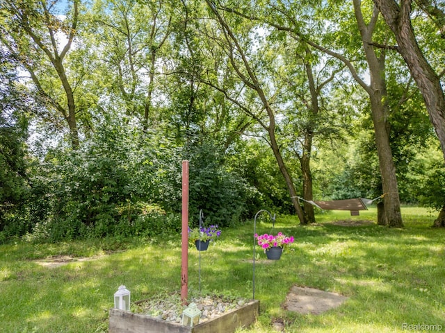 17885 Ridge Rd, Northville, MI 48168 - photo 26