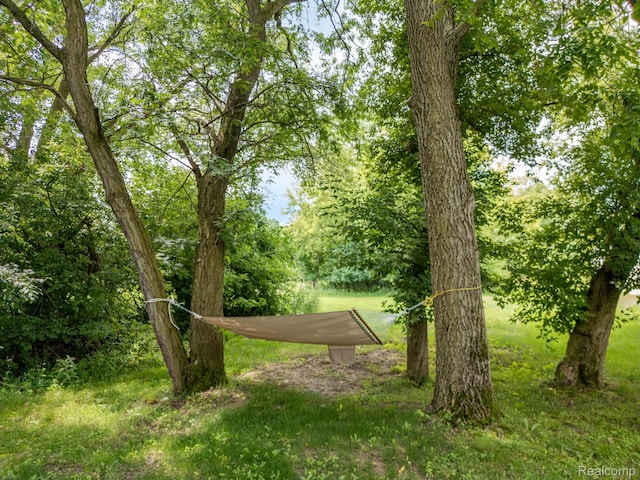 17885 Ridge Rd, Northville, MI 48168 - photo 27