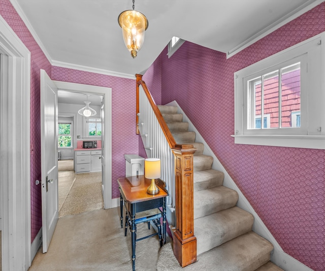 216 Kenwood Ave, Ann Arbor, MI 48103 - stairway featuring wallpapered walls, crown molding, and carpet