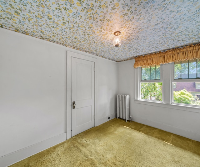 216 Kenwood Ave, Ann Arbor, MI 48103 - empty room with radiator and carpet