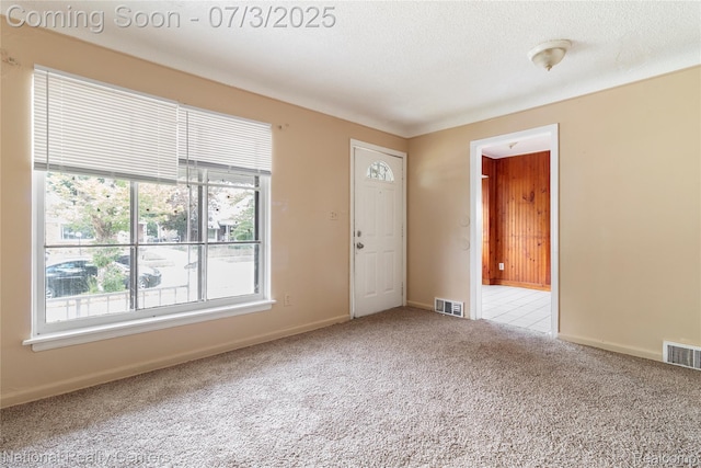 5981 University Pl, Detroit, MI 48224 - carpeted empty room featuring plenty of natural light