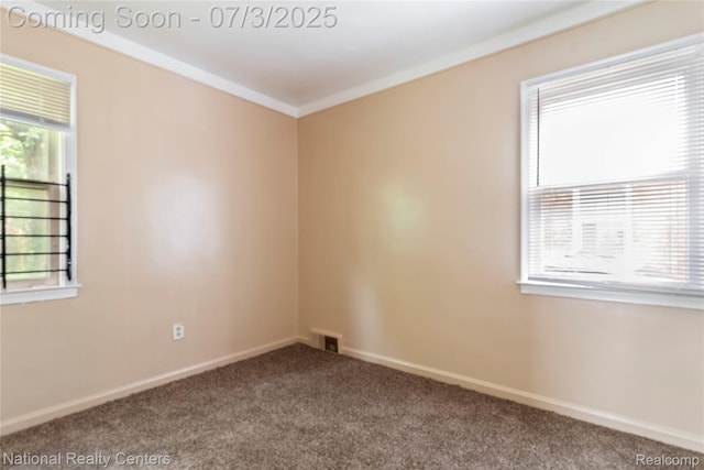 5981 University Pl, Detroit, MI 48224 - carpeted empty room featuring plenty of natural light and ornamental molding